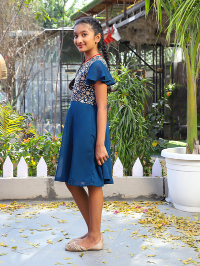 Blue Embroidered Flared dress